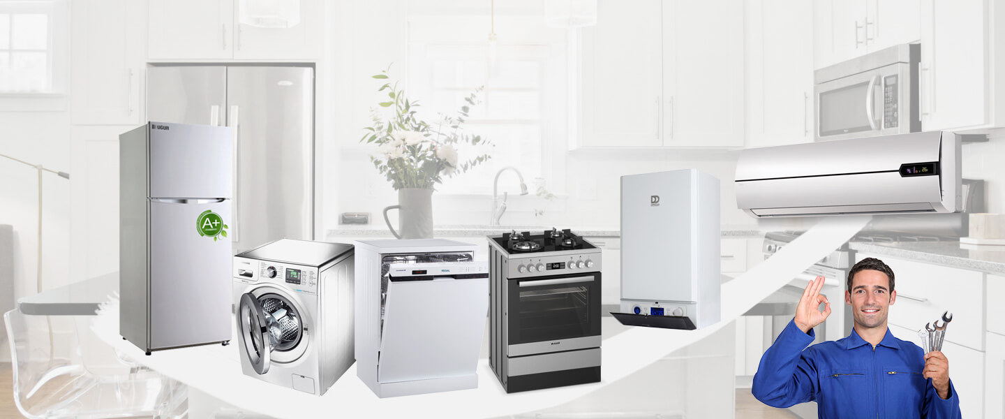 Araç Electrolux Servisi